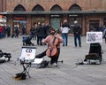 Busker playing cello in Bologna. Busking on street