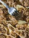 Bolognese meat with pasta