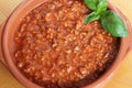 Bolognese meat sauce