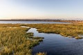 Bolsa Chica wetlands during sunset Royalty Free Stock Photo