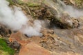 Bolshoy Big Geyser in Valley of Geysers.