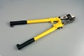 Bolt cutter on concrete surface construction concept.hardware store and manual work tools concept with boltcutter Royalty Free Stock Photo