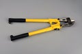 Bolt cutter on concrete surface construction concept.hardware store and manual work tools concept with boltcutter Royalty Free Stock Photo