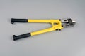 Bolt cutter on concrete surface construction concept.hardware store and manual work tools concept with boltcutter Royalty Free Stock Photo