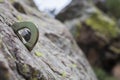 Bolt or parabolt fixed into a hole drilled in the rock full of lichen