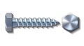 Bolt screw metal pin with head slot and side view Royalty Free Stock Photo