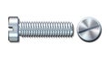 Bolt screw metal pin with head slot and side view