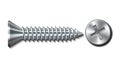 Bolt screw metal pin with head slot and side view Royalty Free Stock Photo