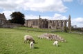 Bolton Abbey