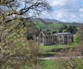 Bolton Abbey Landscape Royalty Free Stock Photo