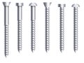 Socket cap or round head bolts and nuts side view