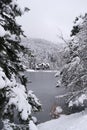 Bolu Golcuk National Park, lake wooden house on a snowy winter day in the forest in Turkey Royalty Free Stock Photo