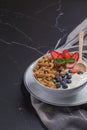 Bowl of homemade granola yogurt with fresh berries Royalty Free Stock Photo