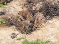 Bomb crater in the ground