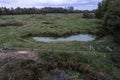 Bomb Craters in Tommelen nature zone Royalty Free Stock Photo