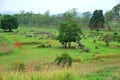 Bomb craters from the Vietnam War surround giant megalithic stone urns at the Plain of Jars archaeological site in Loas.