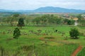 Bomb craters from the Vietnam War surround giant megalithic stone urns at the Plain of Jars archaeological site in Loas.