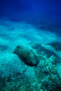 Bomb rusty wreck laying in the sea bed, Croatia