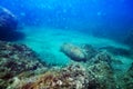 Bomb wreck shell laying in the sea bed, Croatia Royalty Free Stock Photo