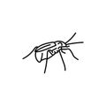 Bombardier beetle black line icon.