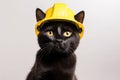 Bombay Cat Dressed As A Builder On White Background