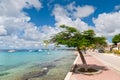 Bonaire Marina