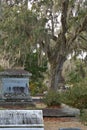 Bonaventure Cemetery is a rural cemetery located on a scenic bluff of the Wilmington River, east of Savannah, Georgia