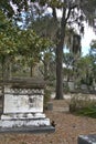 Bonaventure Cemetery is a rural cemetery located on a scenic bluff of the Wilmington River, east of Savannah, Georgia