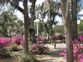 Bonaventure Cemetery