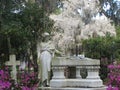 Bonaventure Cemetery Statute Royalty Free Stock Photo