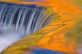 Bond Falls Cascade Royalty Free Stock Photo