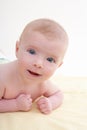 Bond little baby blue eyes lying down smiling Royalty Free Stock Photo