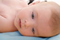 Bond little baby blue eyes lying relaxed Royalty Free Stock Photo