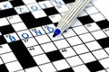 Bond in solving crossword puzzle Royalty Free Stock Photo