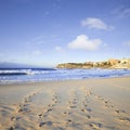 Bondi Beach Sydney Australia Foodtprints and Surf Royalty Free Stock Photo