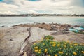 Bondi Beach view from North Bondi Rocks Royalty Free Stock Photo