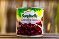 Bonduelle red beans in a can Royalty Free Stock Photo