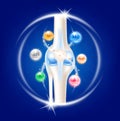 Bone with Calcium, Vitamins, Magnesium and Zinc. Dietary supplement bones. Arthritis knee joint pain in leg. Royalty Free Stock Photo