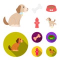 A bone, a fire hydrant, a bowl of food, a dog.Dog set collection icons in cartoon,flat style vector symbol stock