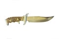 Bone handle hunting knife