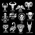 Bone horoscope. Zodiac signs.