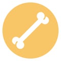 Bone Isolated Vector icon which can easily modify or edit Royalty Free Stock Photo
