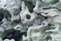 Bone like rock formations in Fantasy Canyon, Utah Royalty Free Stock Photo