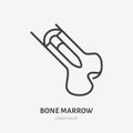 Bone marrow flat line icon. Vector thin pictogram of human skeleton structure, outline illustration for orthopedic