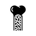 bone marrow glyph icon vector illustration