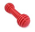 Bone rubber toy for dogs Royalty Free Stock Photo