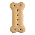 Bone shaped dog biscuit