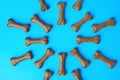 Bone shaped dog biscuits on light blue background, flat lay Royalty Free Stock Photo