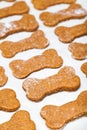 Bone-Shaped Dog Biscuits Ready to Bake