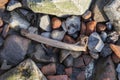 Bone on the Shore of the River Thames in London Royalty Free Stock Photo